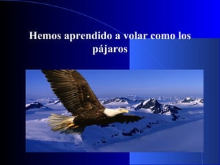 Hemos aprendido a volar como los
pájaros
 