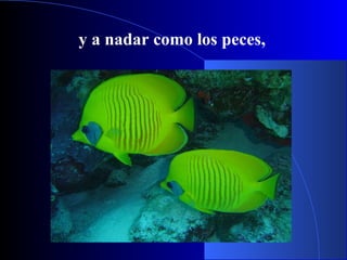 y a nadar como los peces,
 