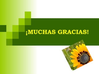 ¡MUCHAS GRACIAS! 