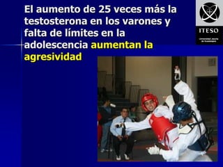 El aumento de 25 veces más la
testosterona en los varones y
falta de límites en la
adolescencia aumentan la
agresividad
 