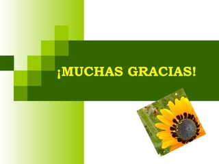 ¡MUCHAS GRACIAS!
 