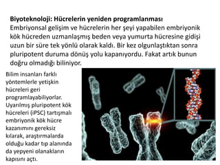 Biyoteknoloji: Hücrelerin yeniden programlanmasıEmbriyonsal gelişim ve hücrelerin her şeyi yapabilen embriyonik kök hücreden uzmanlaşmış beden veya yumurta hücresine gidişi uzun bir süre tek yönlü olarak kaldı. Bir kez olgunlaştıktan sonra pluripotent duruma dönüş yolu kapanıyordu. Fakat artık bunun doğru olmadığı biliniyor. Bilim insanları farklı yöntemlerle yetişkin hücreleri geri programlayabiliyorlar. Uyarılmış pluripotent kök hücreleri (iPSC) tartışmalı embriyonik kök hücre kazanımını gereksiz kılarak, araştırmalarda olduğu kadar tıp alanında da yepyeni olanakların kapısını açtı.
