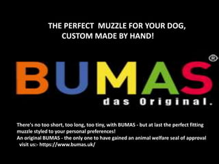 THE PERFECT MUZZLE FOR YOUR DOG,
CUSTOM MADE BY HAND!
There's no too short, too long, too tiny, with BUMAS - but at last the perfect fitting
muzzle styled to your personal preferences!
An original BUMAS - the only one to have gained an animal welfare seal of approval!
visit us:- https://www.bumas.uk/
 