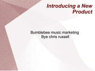 Introducing a New
Product
Bumblebee music marketing
Bye chris russell
 