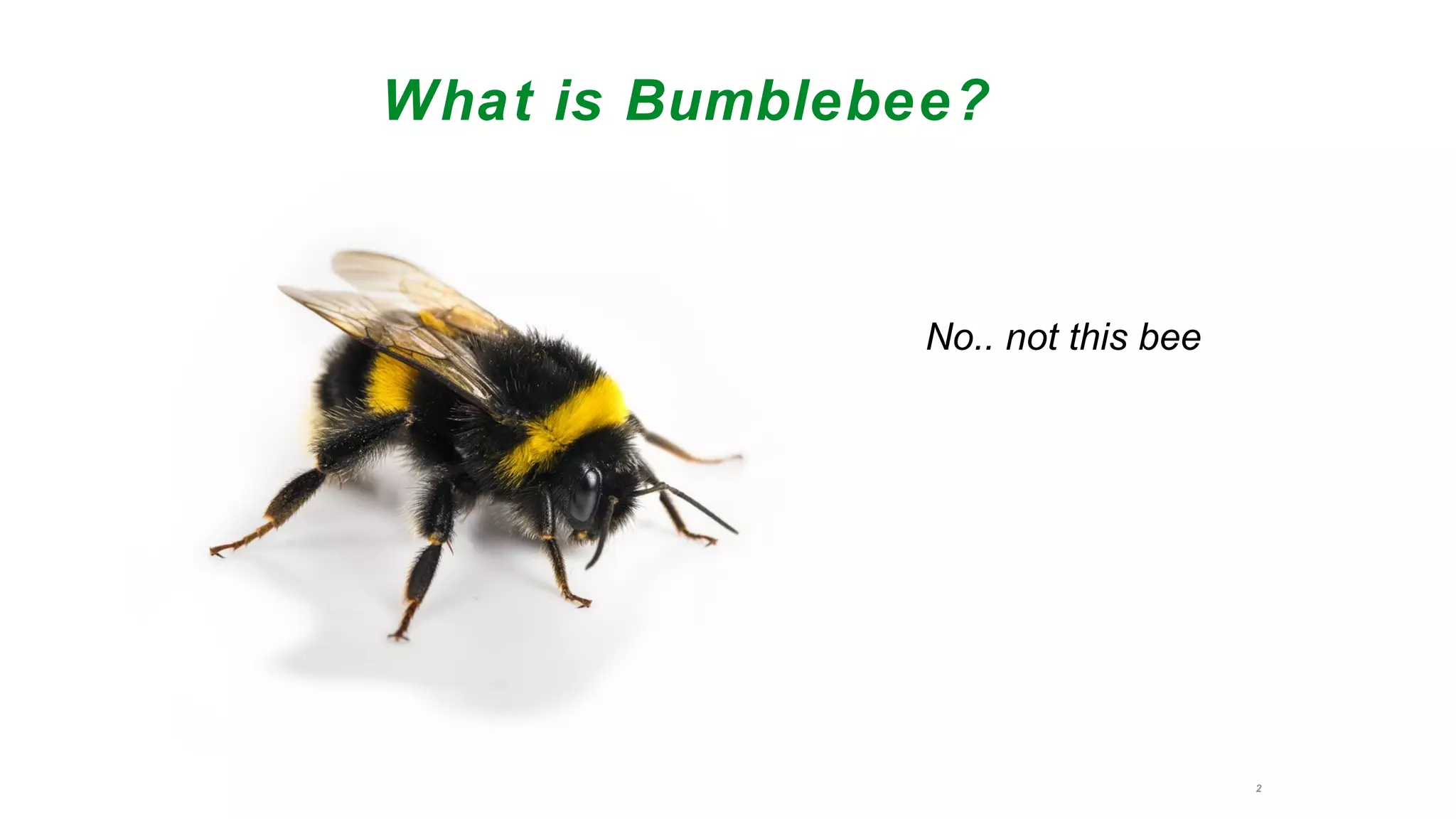 2
What is Bumblebee?
No.. not this bee
 