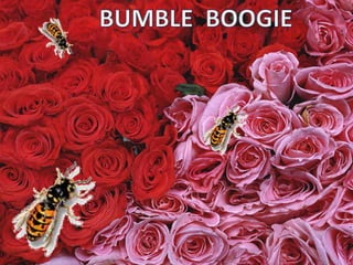 BUMBLE  BOOGIE 