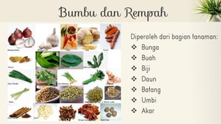 ❖
❖
❖
❖
❖
❖
❖
 