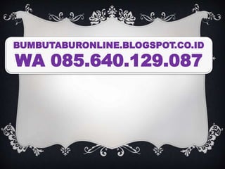 BUMBUTABURONLINE.BLOGSPOT.CO.ID
WA 085.640.129.087
 