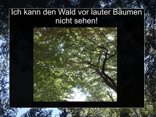Den Wald vor lauter Bäumen nicht sehen