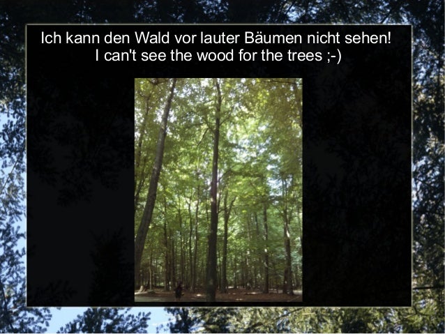 Den Wald Vor Lauter Bäumen Nicht Sehen Bedeutung Den Wald vor lauter Bäumen nicht sehen