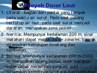 Wilayah Dasar Laut
1. Lit oral : Bagian dari pant ai yang t ampak
pada wakt u air surut , Pada saat pasang
t ert ut up air laut , pada saat surut menj adi
darat an, merupakan zona pesisir .
2. Nerit ik: Mempunyai kedalaman 200 m, sinar
mat ahari dapat masuk dalam zona ini, banyak
dit emukan kehidupan binat ang dan
t umbuhan.
3. Bat hial: Mempunyai kedalaman 200 m-2000
m, merupakan lereng benua, sinar mat ahari
t idak dapat menembus zona ini, sulit
 