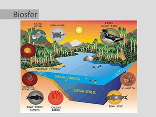 Biosfer
 