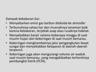 Dampak kebakaran liar:
• Menyebarkan emisi gas karbon dioksida ke atmosfer
• Terbunuhnya satwa liar dan musnahnya tanaman baik
  karena kebakaran, terjebak asap atau rusaknya habitat.
• Menyebabkan banjir selama beberapa minggu di saat
  musim hujan dan kekeringan di saat musim kemarau.
• Kekeringan menghambatnya jalur pengangkutan lewat
  sungai dan menyebabkan kelaparan di daerah-daerah
  terpencil.
• Kekeringan juga akan mengurangi volume air waduk
  saat musim kemarau, yang mengakibatkan terhentinya
  pembangkit listrik (PLTA).
 
