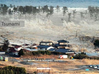 Tsunami
 