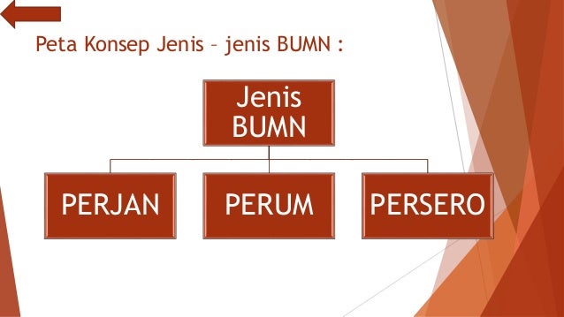 BUMN, BUMS & Koperasi