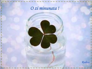 O zi minunata !




                  Rodica.
 