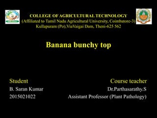 COLLEGE OF AGRICULTURAL TECHNOLOGY
(Affiliated to Tamil Nadu Agricultural University, Coimbatore-3)
Kullapuram (Po),ViaVaigai Dam, Theni-625 562
Banana bunchy top
Student Course teacher
B. Saran Kumar Dr.Parthasarathy.S
2015021022 Assistant Professor (Plant Pathology)
 