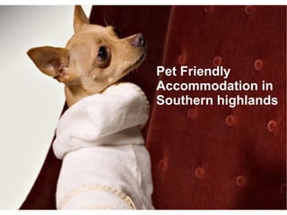 Pet Friendly
Accommodation in
Southern highlands
 