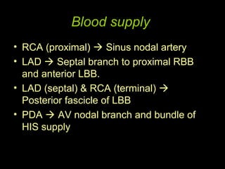 Blood supply
• RCA (proximal)  Sinus nodal artery
• LAD  Septal branch to proximal RBB
  and anterior LBB.
• LAD (septal) & RCA (terminal) 
  Posterior fascicle of LBB
• PDA  AV nodal branch and bundle of
  HIS supply
 