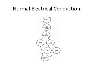Normal Electrical Conduction
 