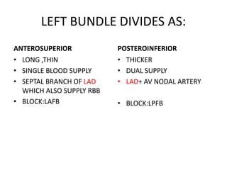LEFT BUNDLE DIVIDES AS:
ANTEROSUPERIOR
• LONG ,THIN
• SINGLE BLOOD SUPPLY
• SEPTAL BRANCH OF LAD
WHICH ALSO SUPPLY RBB
• BLOCK:LAFB
POSTEROINFERIOR
• THICKER
• DUAL SUPPLY
• LAD+ AV NODAL ARTERY
• BLOCK:LPFB
 