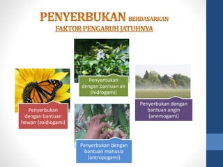 Penyerbukan 
dengan bantuan 
hewan (zoidiogami) 
Penyerbukan 
dengan bantuan air 
(hidrogami) 
Penyerbukan dengan 
bantuan angin 
(anemogami) 
Penyerbukan dengan 
bantuan manusia 
(antropogami) 
 