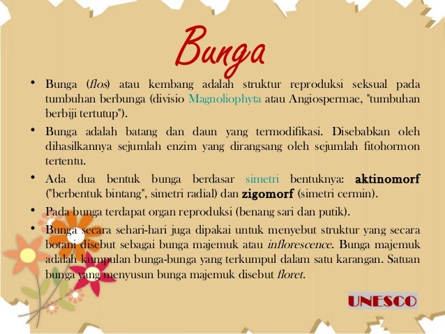 Bunga xi ipa 1