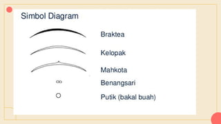 PENEGRTIAN BUNGA, STRUKTUR BUNGA, BAGIAN BUNGA.pptx