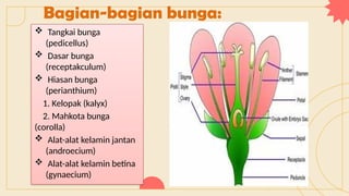 Bagian-bagian bunga:
 Tangkai bunga
(pedicellus)
 Dasar bunga
(receptakculum)
 Hiasan bunga
(perianthium)
1. Kelopak (kalyx)
2. Mahkota bunga
(corolla)
 Alat-alat kelamin jantan
(androecium)
 Alat-alat kelamin betina
(gynaecium)
 