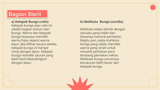 a) Kelopak Bunga (calix)
Kelopak bunga atau calix ini
adalah bagian terluar dari
bunga. Warna dari kelopak
bunga biasanya memiliki
warna hijau seperti warna
daun. Jika dilihat secara sekilas,
kelopak bunga ini hampir
mirip dengan daun. Kelopak
bunga memiliki ukuran yang
lebih kecil dibandingkan
dengan daun.
b) Mahkota Bunga (corolla)
Mahkota selalu identik dengan
sesuatu yang indah dan
biasanya menarik perhatian.
Begitu pun, pada mahkota
bunga yang selalu memiliki
warna yang cerah untuk
menarik perhatian para
binatang pemakan nektar.
Mahkota bunga umumnya
berukuran lebih besar dari
kelopak bunga.
Bagian Steril
 