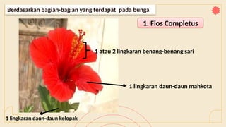 Berdasarkan bagian-bagian yang terdapat pada bunga
1. Flos Completus
1 lingkaran daun-daun kelopak
1 atau 2 lingkaran benang-benang sari
1 lingkaran daun-daun mahkota
 