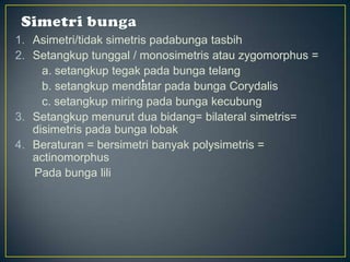 1. Asimetri/tidak simetris padabunga tasbih
2. Setangkup tunggal / monosimetris atau zygomorphus =
a. setangkup tegak pada bunga telang
b. setangkup mendatar pada bunga Corydalis
c. setangkup miring pada bunga kecubung
3. Setangkup menurut dua bidang= bilateral simetris=
disimetris pada bunga lobak
4. Beraturan = bersimetri banyak polysimetris =
actinomorphus
Pada bunga lili
 