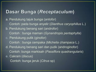 a. Pendukung tajuk bunga (antofor)
Contoh: pada bunga anyelir (Dianthus caryophillus L.)
b. Pendukung benang sari (androfor)
Contoh : bunga maman (Gynandropis pentaphylla)
c. Pendukung putik (ginofor)
Contoh : bunga cempaka (Michelia champaca L.)
d. Pendukung benang sari dan putik (androginofor)
Contoh: bunga markisah (Passiflora quadrangularis)
e. Cakram (discus)
Contoh: bunga jeruk (Citrus sp)
 