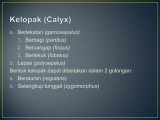 a. Berlekatan (gamosepalus)
1. Berbagi (partitus)
2. Bercangap (fissus)
3. Berlekuk (lobatus)
b. Lepas (polysepalus)
Bentuk kelopak dapat dibedakan dalam 2 golongan:
a. Beraturan (regularis)
b. Setangkup tunggal (zygomorphus)
 