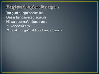 • Tangkai bunga/pedicellus
• Dasar bunga/receptaculum
• Hiasan bunga/perianthium :
1. kelopak/kalyx
2. tajuk bunga/mahkota bunga/corolla
 