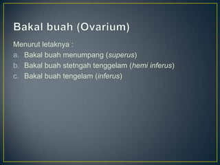 Menurut letaknya :
a. Bakal buah menumpang (superus)
b. Bakal buah stetngah tenggelam (hemi inferus)
c. Bakal buah tengelam (inferus)
 