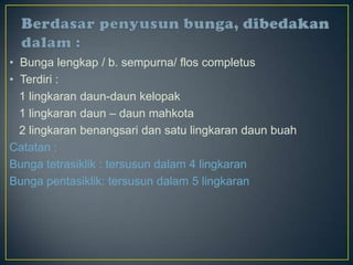 • Bunga lengkap / b. sempurna/ flos completus
• Terdiri :
1 lingkaran daun-daun kelopak
1 lingkaran daun – daun mahkota
2 lingkaran benangsari dan satu lingkaran daun buah
Catatan :
Bunga tetrasiklik : tersusun dalam 4 lingkaran
Bunga pentasiklik: tersusun dalam 5 lingkaran
 