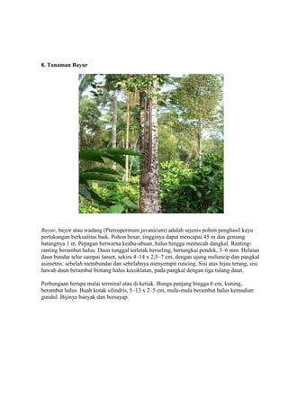 8. Tanaman Bayur 
Bayur, bayor atau wadang (Pterospermum javanicum) adalah sejenis pohon penghasil kayu 
pertukangan berkualitas baik. Pohon besar, tingginya dapat mencapai 45 m dan gemang 
batangnya 1 m. Pepagan berwarna keabu-abuan, halus hingga memecah dangkal. Ranting-ranting 
berambut halus. Daun tunggal terletak berseling, bertangkai pendek, 3–6 mm. Helaian 
daun bundar telur sampai lanset, sekira 4–14 x 2,5–7 cm, dengan ujung meluncip dan pangkal 
asimetris: sebelah membundar dan sebelahnya menyempit runcing. Sisi atas hijau terang, sisi 
bawah daun berambut bintang halus kecoklatan, pada pangkal dengan tiga tulang daun. 
Perbungaan berupa malai terminal atau di ketiak. Bunga panjang hingga 6 cm, kuning, 
berambut halus. Buah kotak silindris, 5–13 x 2–5 cm, mula-mula berambut halus kemudian 
gundul. Bijinya banyak dan bersayap. 
 