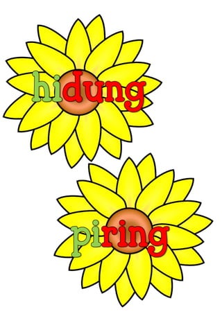 Bunga matahari kvkvkk