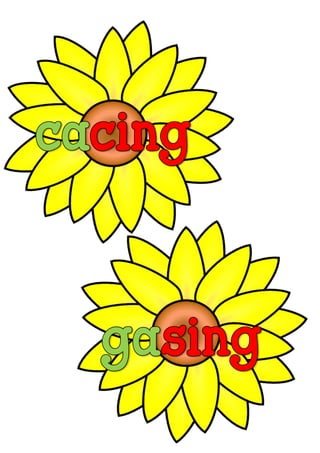 Bunga matahari kvkvkk