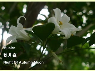 Music:

秋月夜
Night Of Autumn Moon
 