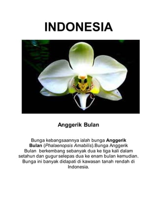 INDONESIA
Anggerik Bulan
Bunga kebangsaannya ialah bunga Anggerik
Bulan (Phalaenopsis Amabilis).Bunga Anggerik
Bulan berkembang sebanyak dua ke tiga kali dalam
setahun dan gugur selepas dua ke enam bulan kemudian.
Bunga ini banyak didapati di kawasan tanah rendah di
Indonesia.
 