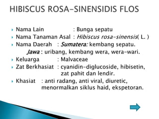 








Nama Lain
: Bunga sepatu
Nama Tanaman Asal : Hibiscus rosa-sinensis( L. )
Nama Daerah : Sumatera: kembang sepatu.
Jawa : uribang, kembang wera, wera-wari.
Keluarga
: Malvaceae
Zat Berkhasiat : cyanidin-diglucoside, hibisetin,
zat pahit dan lendir.
Khasiat : anti radang, anti viral, diuretic,
menormalkan siklus haid, ekspetoran.

 