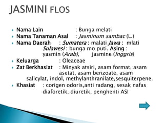 









Nama Lain
: Bunga melati
Nama Tanaman Asal : Jasminum sambac (L.)
Nama Daerah
: Sumatera : malati Jawa : mlati
Sulawesi : bunga mo puti. Asing :
yasmin (Arab),
jasmine (Inggris)
Keluarga
: Oleaceae
Zat Berkhasiat : Minyak atsiri, asam format, asam
asetat, asam benzoate, asam
salicylat, indol, methylanthranilate,sesquiterpene.
Khasiat : corigen odoris,anti radang, sesak nafas
diaforetik, diuretik, penghenti ASI

 