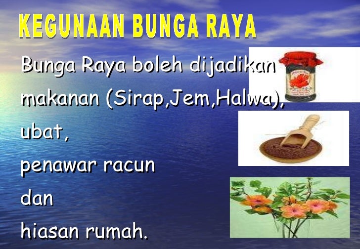 SUBJEK BAHASA MELAYU: TATABAHASA: AYAT MAJMUK