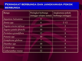 Bunga Semusim[1] | PPT