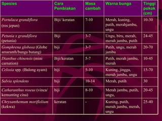 Bunga Semusim[1] | PPT