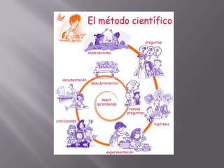 Su tesis está basada sobre  doce  fundamentos  :