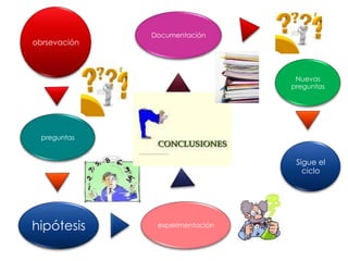 El camino hacia la verdad.