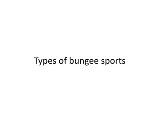 Types of bungee sports